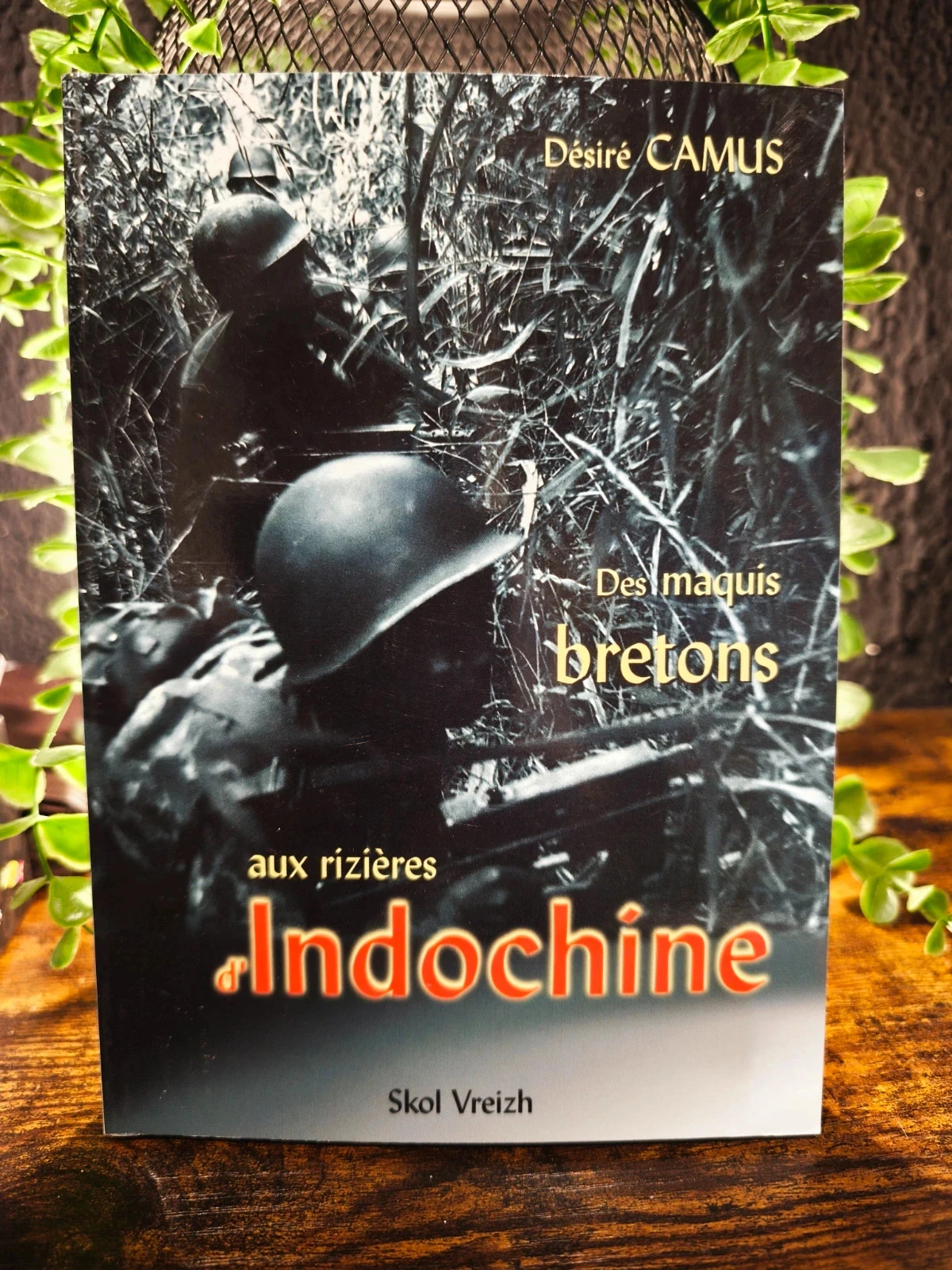 Des maquis bretons aux rizières d'Indochine